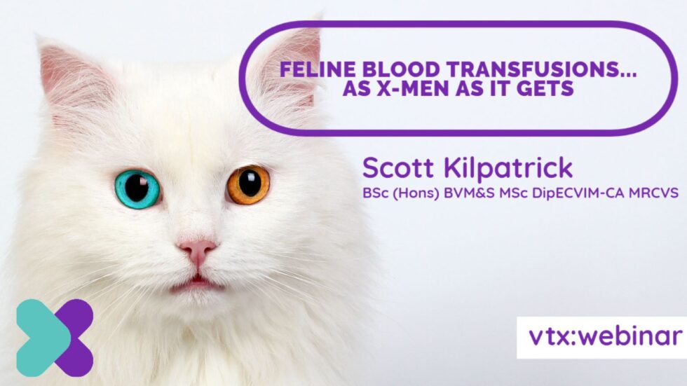 Free Feline Blood Transfusion Webinar Final 980×551 Wendy Nevins Rvn