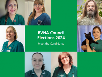 BVNA announces candidates for its 2024 Council election